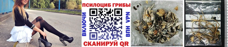 наркотики  Нязепетровск  Псилоцибиновые грибы мухоморы 